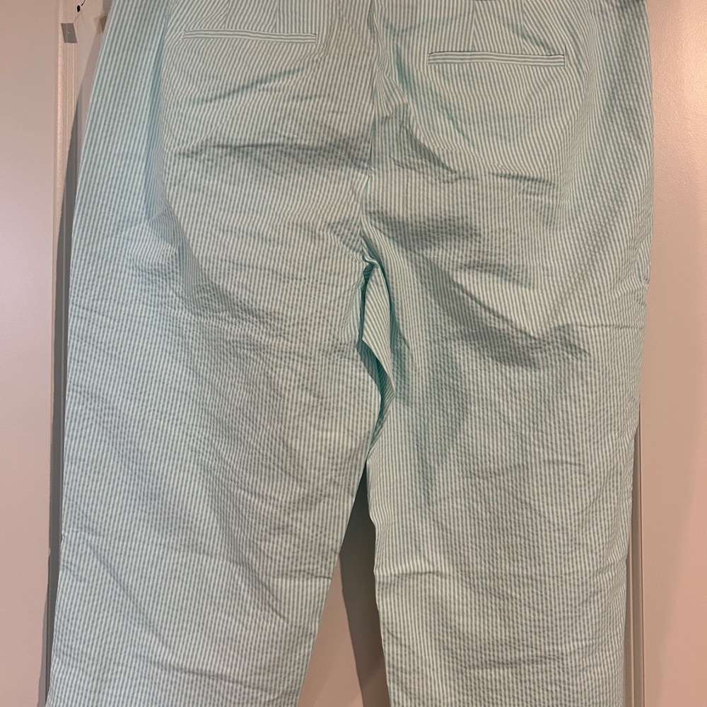 Talbots Pedal Pusher Pants. Size 14. Mint and white stripes. - Picture 2 of 4